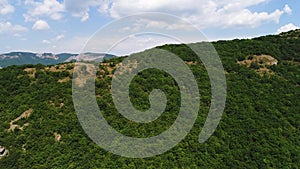 Aerial view of forested mountain slopes, summer landscape. Shot. Breathtaking green vegetation growing on high hills on