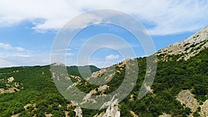 Aerial view of forested mountain slopes, summer landscape. Shot. Breathtaking green vegetation growing on high hills on