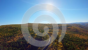 Aerial view of a freight train in the forest