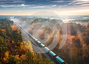 Aerial view of freight train in forest in fog at sunrise in autumn