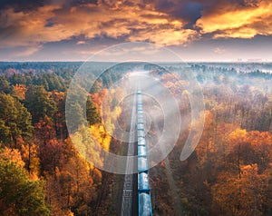 Aerial view of freight train in forest in fog at sunset in autumn