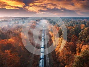 Aerial view of freight train in forest in fog at sunset in autumn