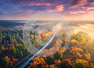 Aerial view of freight train in forest in fog at sunset in autumn