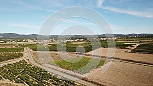 Aerial view of french vineyard in Herault, France