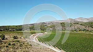 Aerial view of french vineyard and mediteranean hill in France