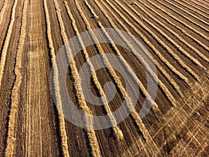 Aerial view of a fresh plowed wheat field