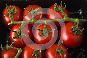 Aerial view fresh red tomatoes in black supermaket plastic tray