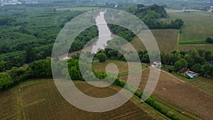 Aerial view of Fronsac vineyard in spring and river Garonne, Bordeaux Vineyard, Gironde, France