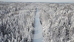 Aerial view of a frozen forest with snow covered trees at winter. Estonia nature