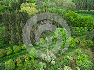Aerial view of a garden with walkways different trees and green grass