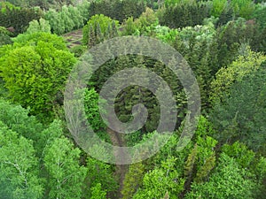 Aerial view of a garden with walkways different trees and green grass