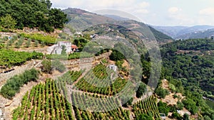 Aerial view gardens on terrace in Douro valley