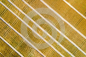 Aerial view of geometric wheat fields