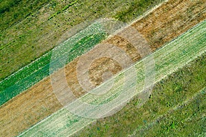 Aerial view of geometric wheat fields