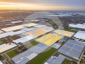 Aerial view of giant Greenhouse horticulture area