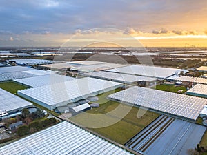 Aerial view of giant Greenhouse horticulture area