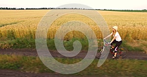 Aerial view of a girl riding a bicycle along a wheat field