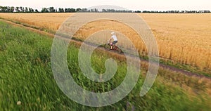 Aerial view of a girl riding a bicycle along a wheat field