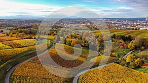 Aerial view of the golden fields of Bradgate Park in the Uk in autumn