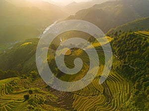 Aerial view of golden rice terraces at Mu cang chai town near Sapa city, north of Vietnam. Beautiful terraced rice field in