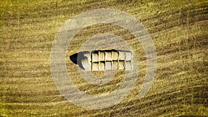 Aerial view of golden wheat field.