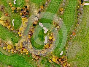 Aerial view of a golf course.