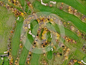 Aerial view of a golf course.