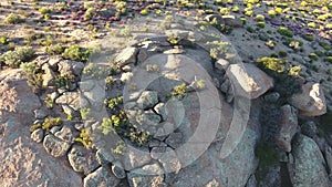 Aerial view of granite outcrop and wild flowers