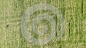 aerial view of grass texture above ground