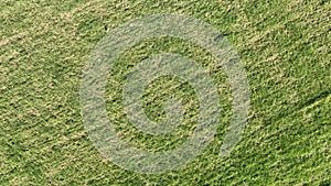 aerial view of grass texture above ground