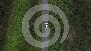 Aerial view of a gray car driving on a road in a green forest, shot from a flying drone over the car, view from above