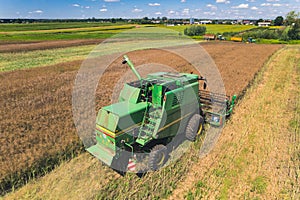 Aerial view of a green agricultural combine with a revolving reel harvesting crop in a large grain field. Tractors with