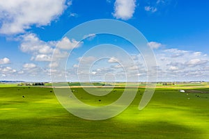 Aerial view of green agricultural cultivated fields