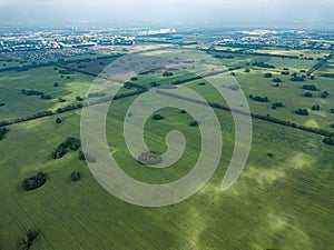 Aerial view of a green agricultural field and meadows with grass and plants separated by a country road in the middle and a strip