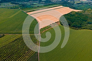 aerial view of green agricultural land with different crops.