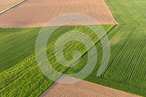 Aerial view of green and brown fields in spring