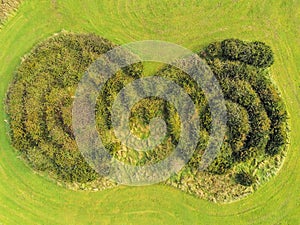 Aerial view, green bushes in round spiral shape planted in a park