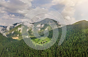 Aerial view of green Carpathian mountains covered with evergreen spruce pine foreston summer sunny day