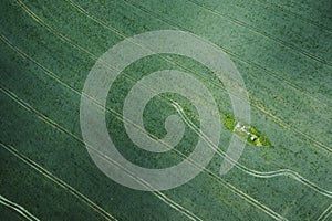 Aerial view on green field with paths photo