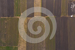 Aerial view of green field. Rural landscape captured from a drone