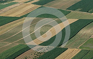 Aerial view of green fields