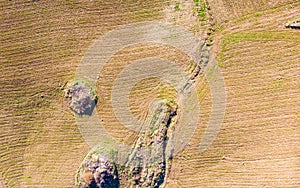 Aerial view. Green fields in Andalucia Spain