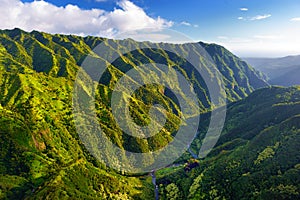 Aerial view of green fields on Kauai, Hawaii