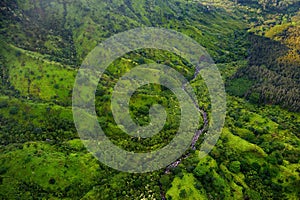 Aerial view of green fields on Kauai, Hawaii