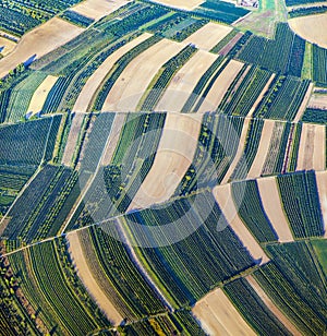 Aerial view of green fields and slopes