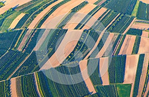 Aerial view of green fields and slopes