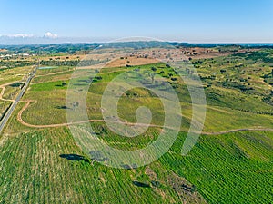 Aerial View Green Fields with Trees