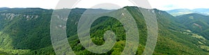 Aerial view of green forest photo