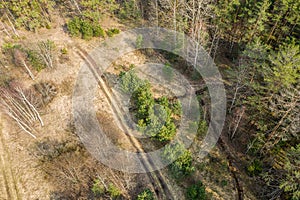 Aerial view of green forest landscape at sunny spring day