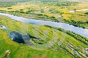 Aerial View. Green Forest, Meadow And River Marsh Landscape In Summer. Top View Of European Nature From High Attitude In